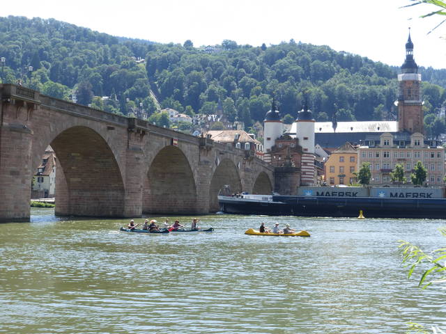 neckar-pic-2016-07-26-13-11-DMC-TZ36-p1120048.jpg