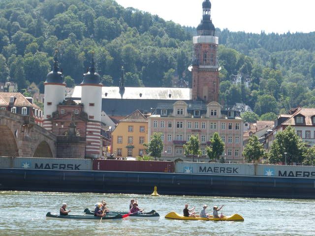 neckar-pic-2016-07-26-13-11-DMC-TZ36-p1120049.jpg