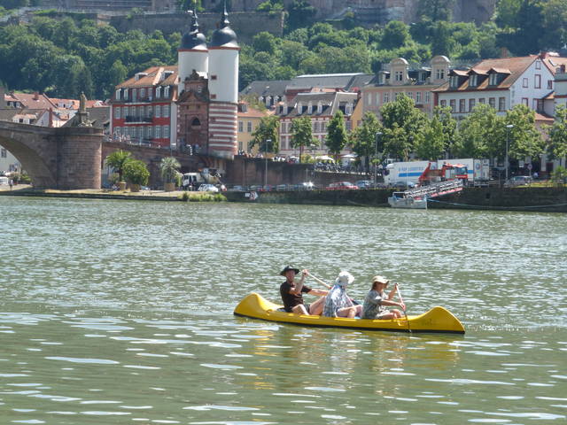 neckar-pic-2016-07-26-13-15-DMC-TZ36-p1120052.jpg