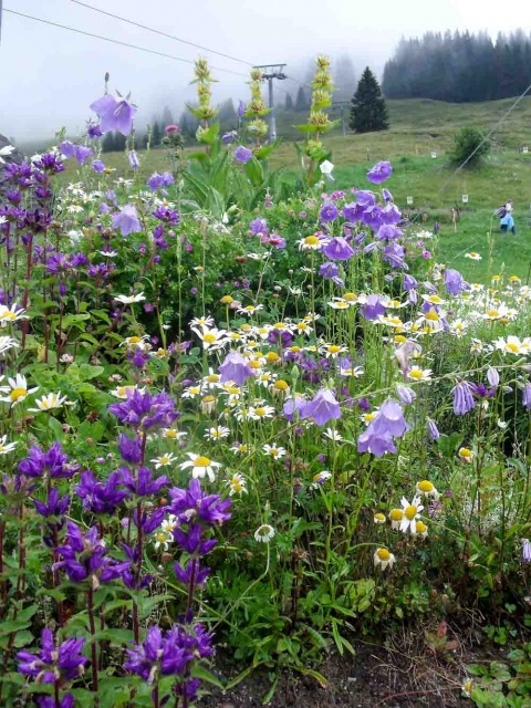 20160801_NF-FF_Hinterglemm_Christel Menges_40233240.jpg