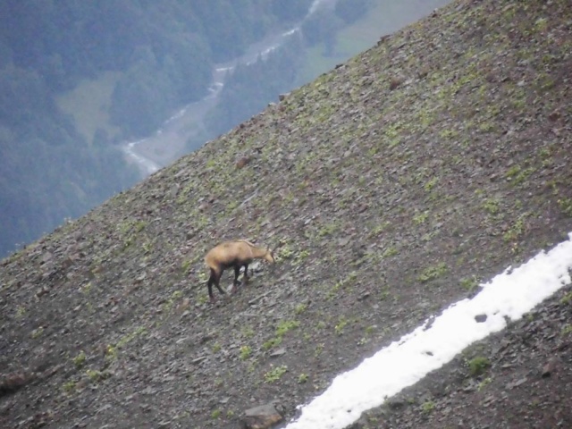 20160811_NF-FF_Steinbocktour_Sascha Gernold_25049.jpg