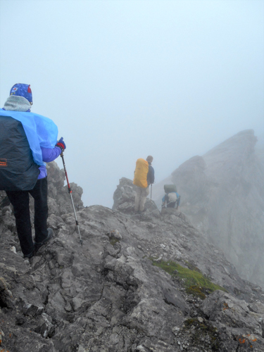 20160811_NF-FF_Steinbockrunde_Anke Kiessling_45140291.jpg