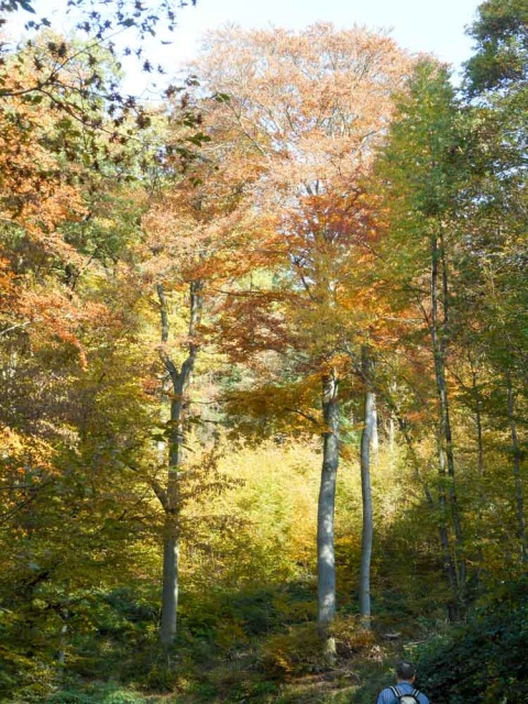 20161101_NF-FF_Letzte Einkehr__Anke Kiessling-6981633.jpg