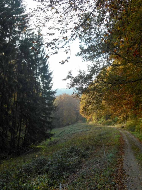 20161101_NF-FF_Letzte Einkehr__Anke Kiessling-7091648.jpg