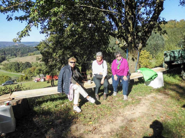 Kelterfest_Reichelsheim_10-2016_012.jpg
