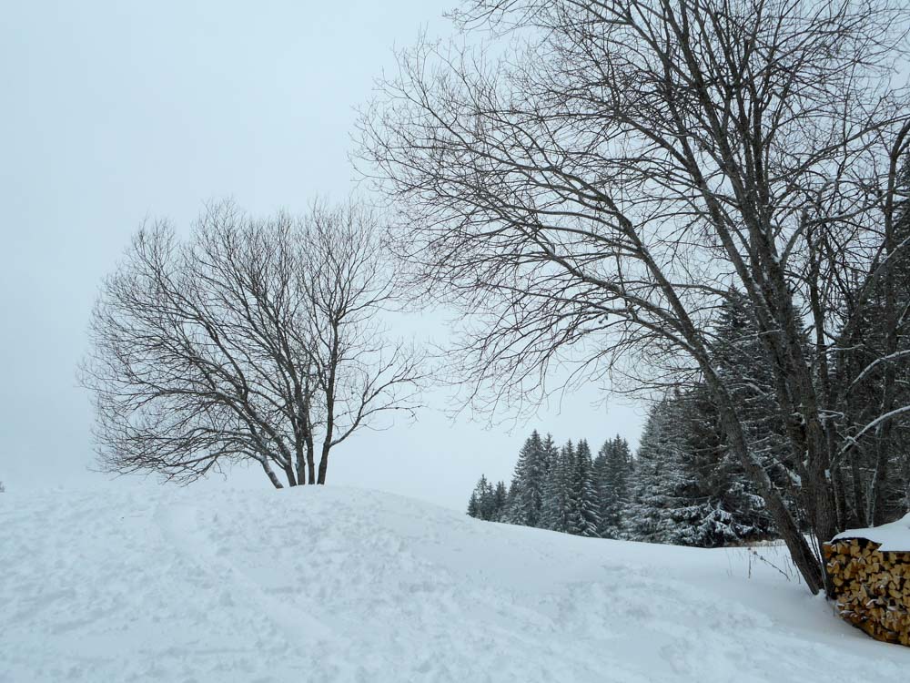 20170225_NF-FF_Skifreizeit_Anke_7951987.jpg