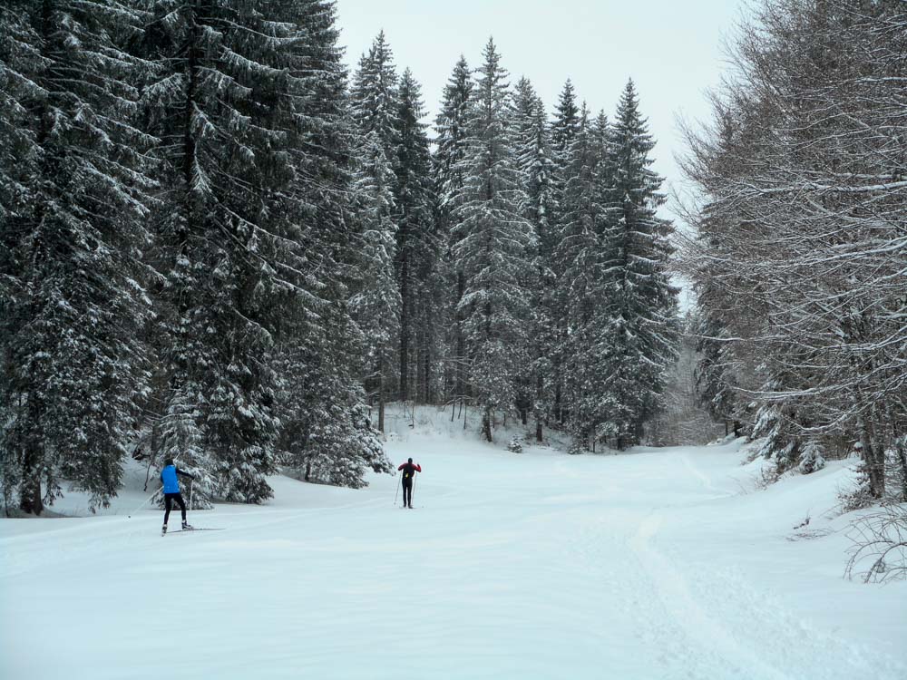 20170225_NF-FF_Skifreizeit_Anke_7971996.jpg
