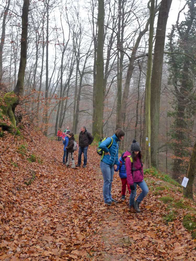 20161211_NF_Tierweihnacht_Sabine-2.jpg