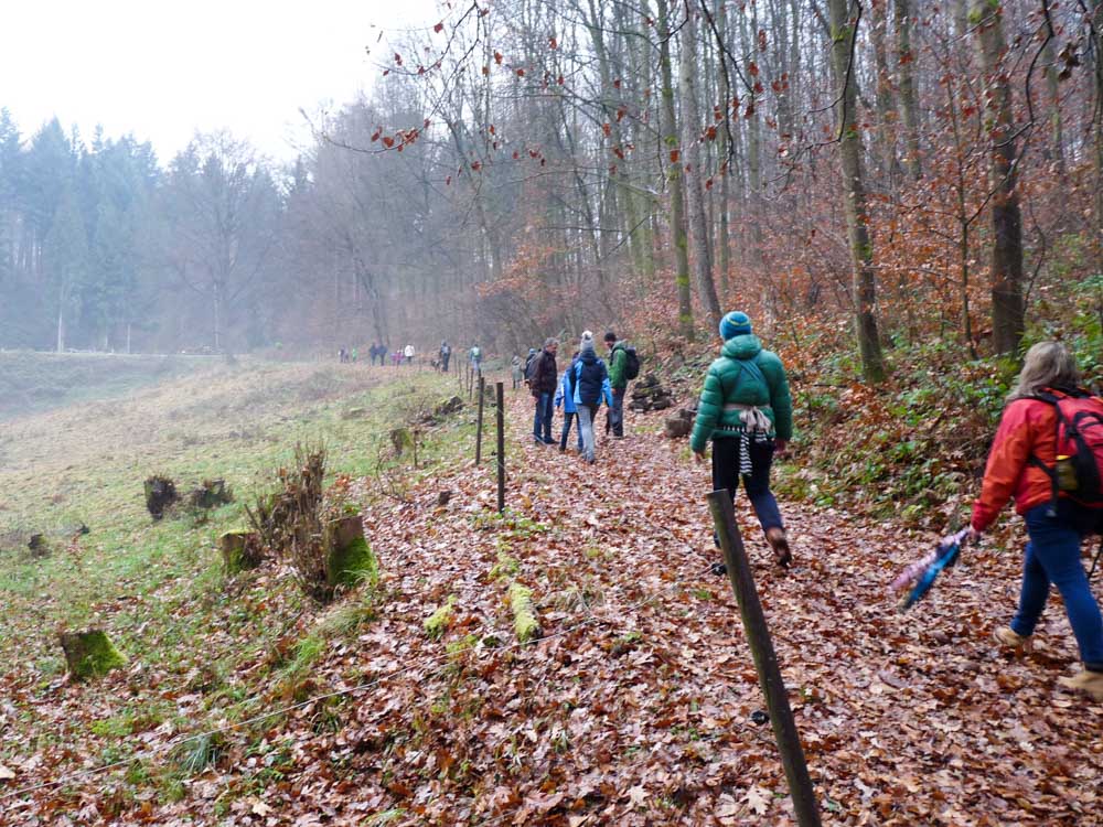 20161211_NF_Tierweihnacht_Sabine-11.jpg