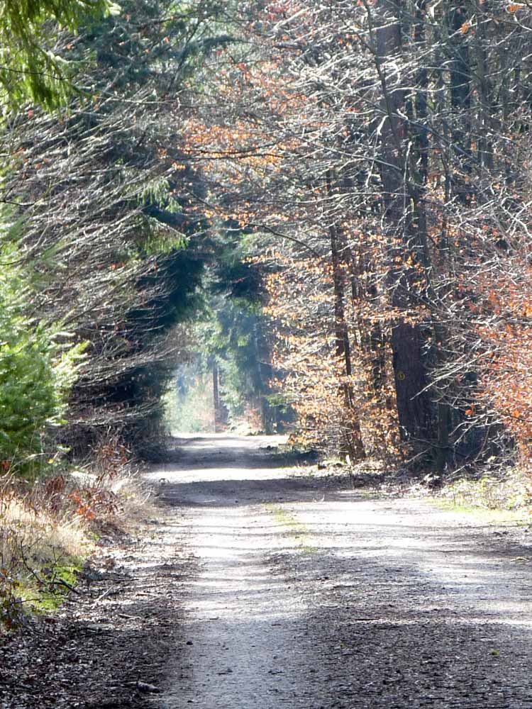 20170312_NF_Töpferei_Sabine-36.jpg