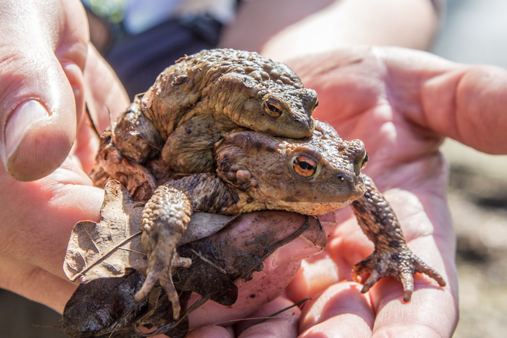 20161211_NF_Einweihung_Erste Einkehr_KN-30.jpg