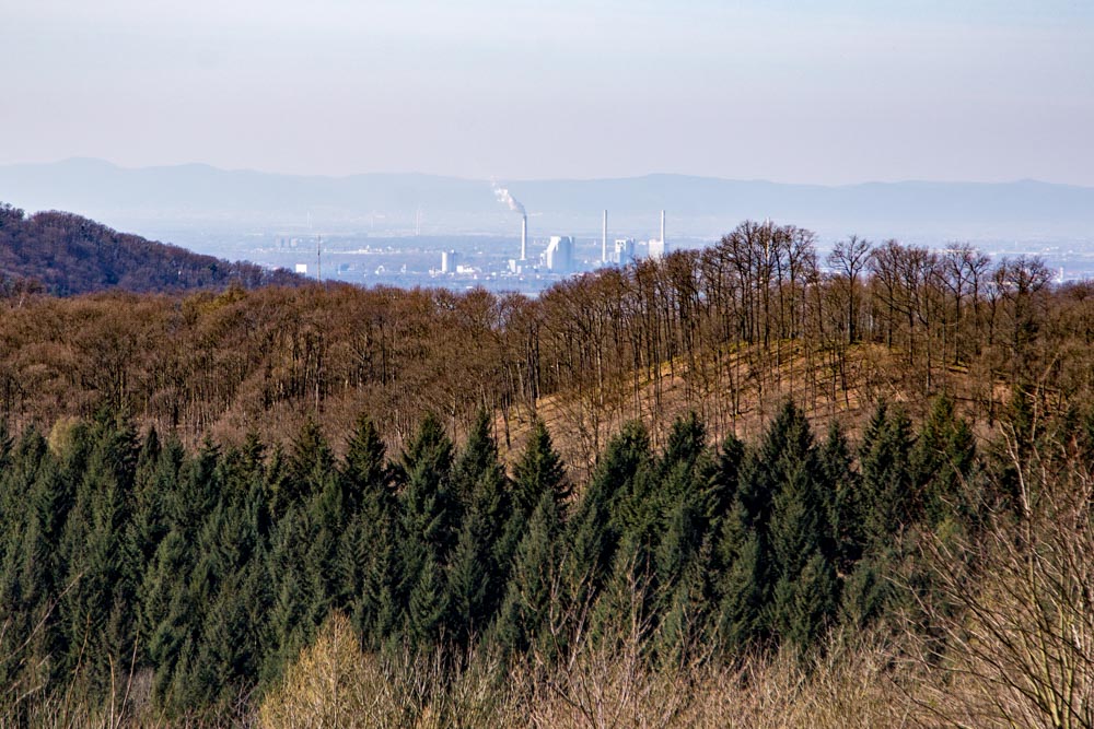 20161211_NF_Einweihung_Erste Einkehr_KN-40.jpg