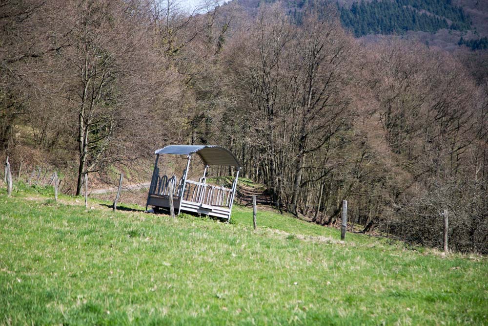 20161211_NF_Einweihung_Erste Einkehr_KN-42.jpg