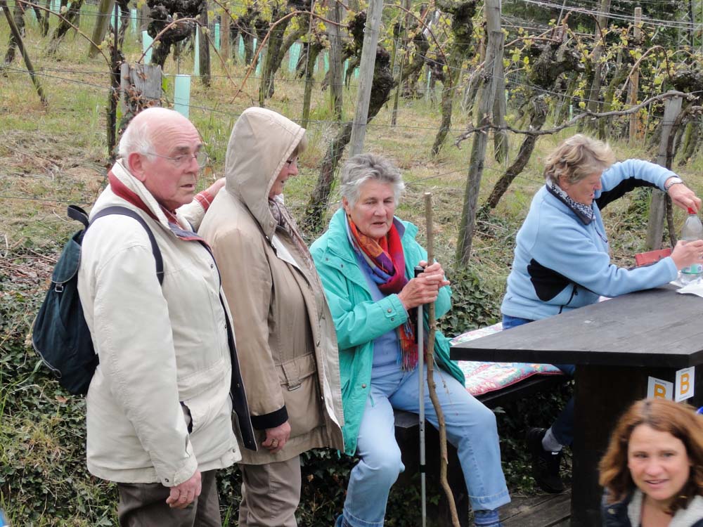 20170423 NF_Blütenwegfest_KN-1.jpg