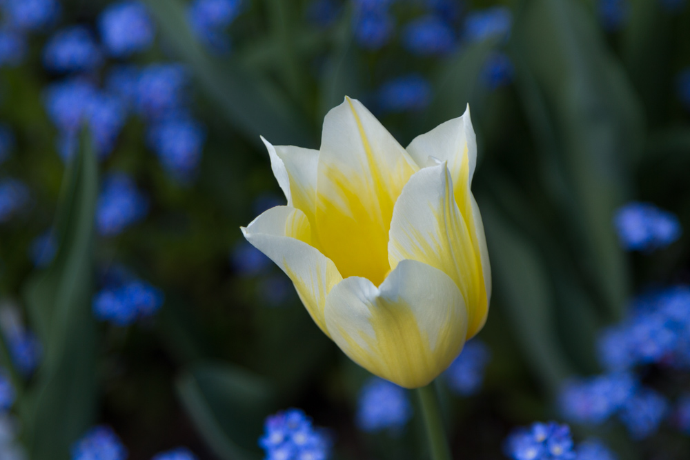 20170429 Hermannshof_Fotogruppe-3.jpg