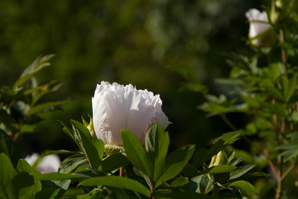 20170429 Hermannshof_Fotogruppe-60.jpg