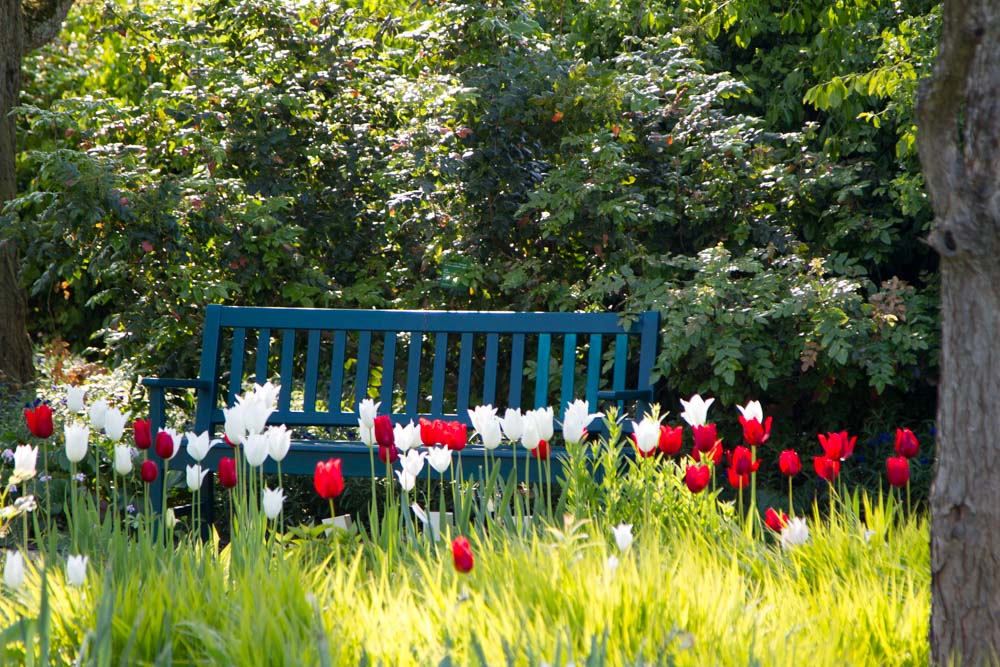 20170429 Hermannshof_Fotogruppe-79.jpg