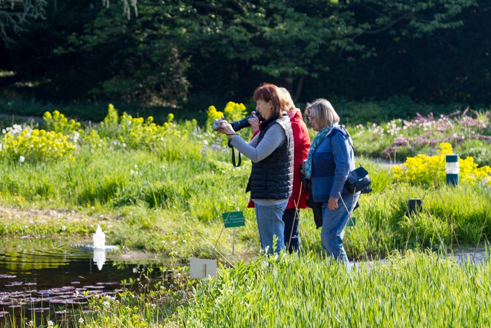 20170429 Hermannshof_Fotogruppe-82.jpg