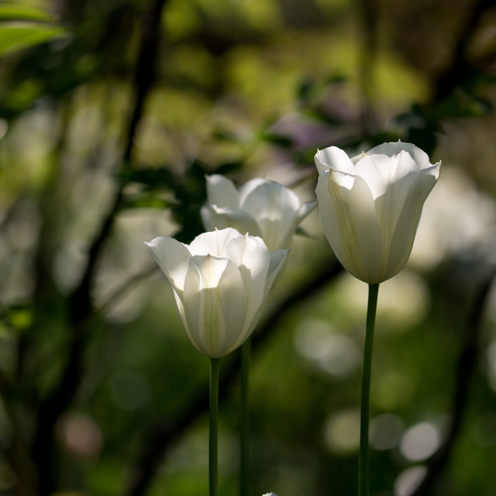 20170429 Hermannshof_Fotogruppe-121.jpg