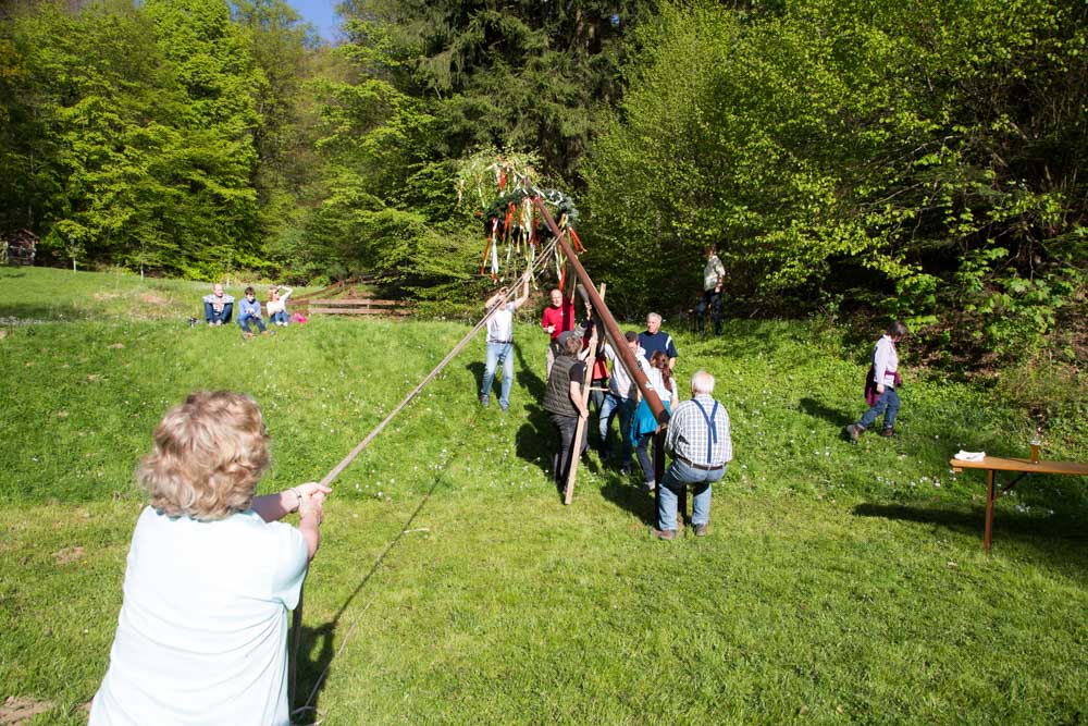 20170430 Maibaum aufstellen-88.jpg