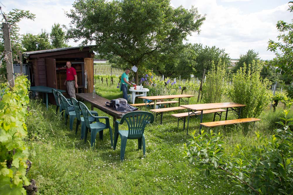 20170520_NF Einweihung Garten_Karl-17.jpg