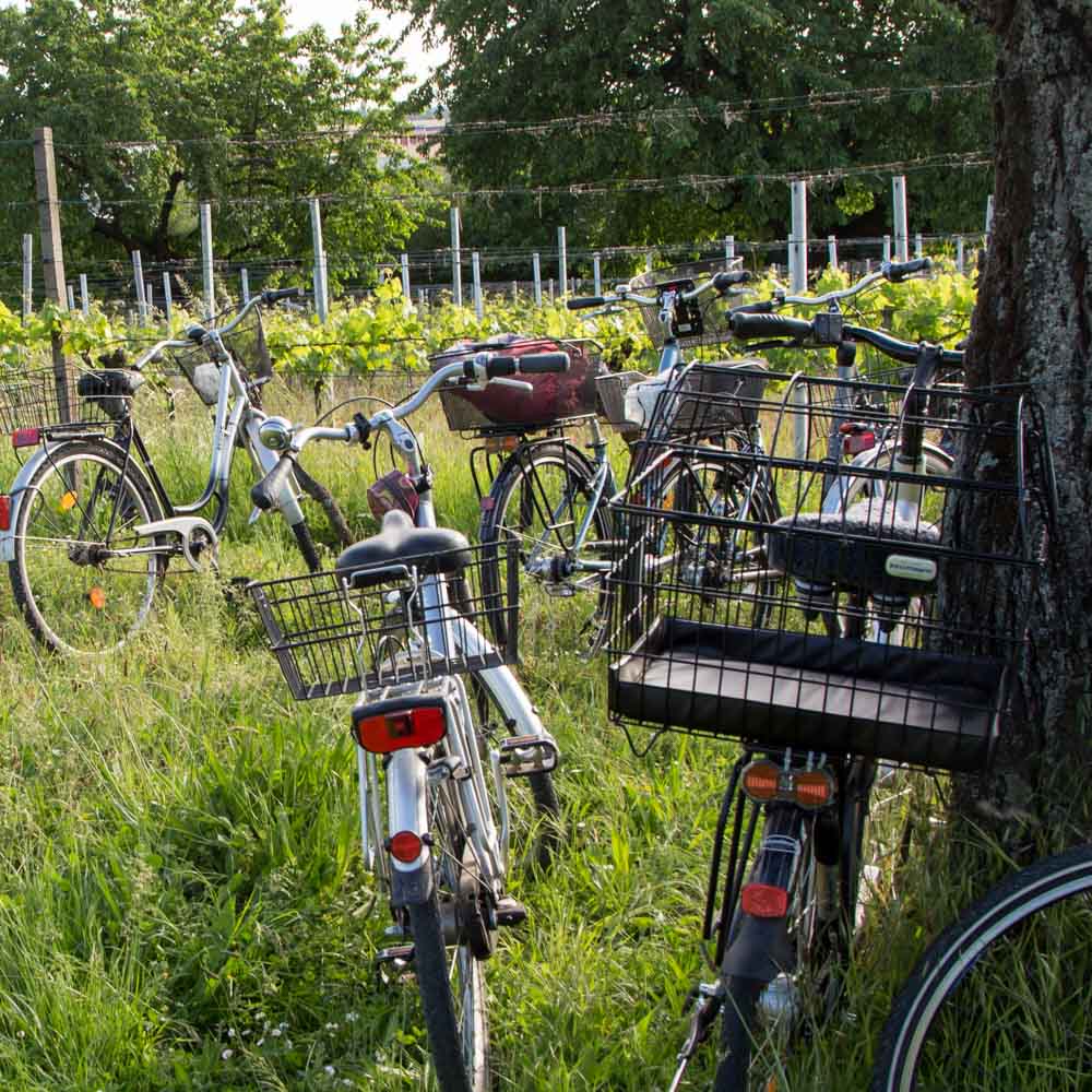 20170520_NF Einweihung Garten_Karl-124.jpg