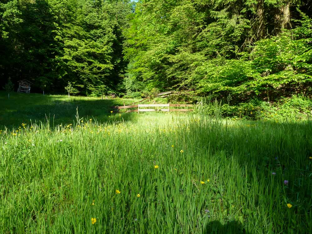 20170525 NF_Vatertag_Sabine-30.jpg