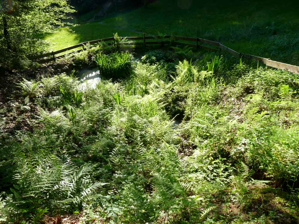 20170525 NF_Vatertag_Sabine-38.jpg