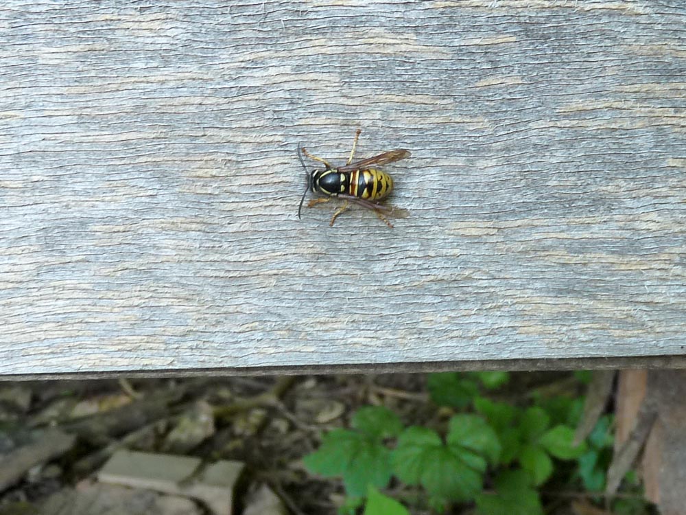 20170525 NF_Vatertag_Sabine-41.jpg