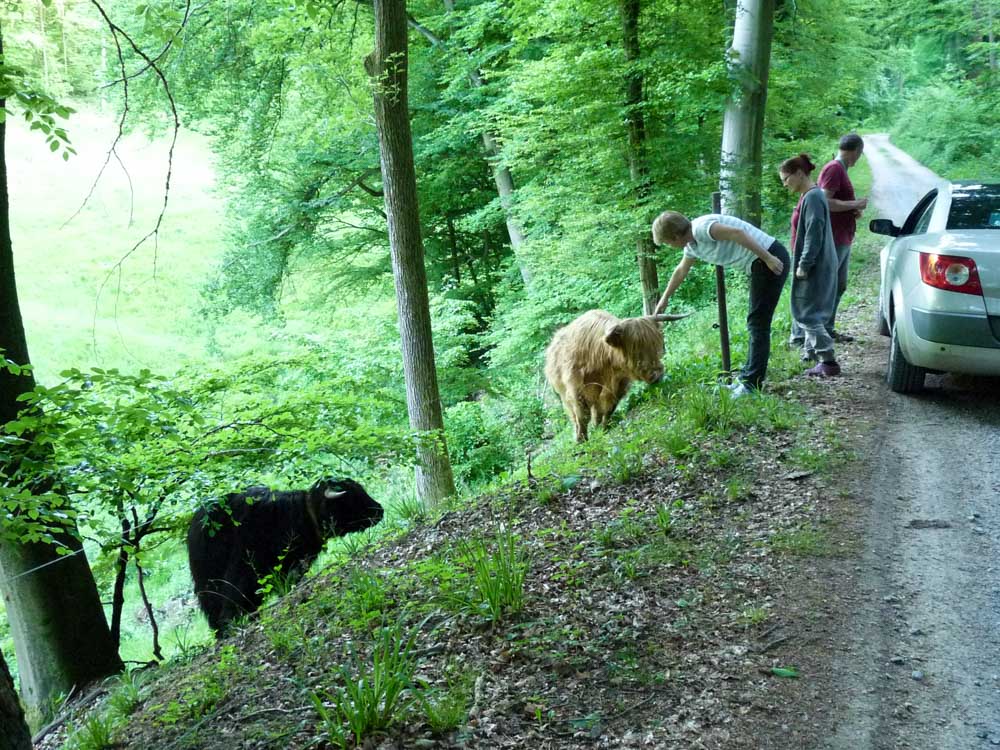 20170525 NF_Vatertag_Sabine-43.jpg