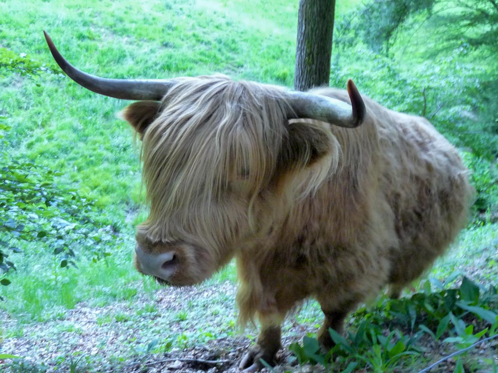 20170525 NF_Vatertag_Sabine-45.jpg