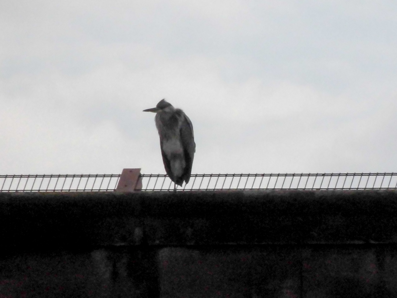 20170630 NF_Paddeln im Bezirksachter_Sascha-8.jpg