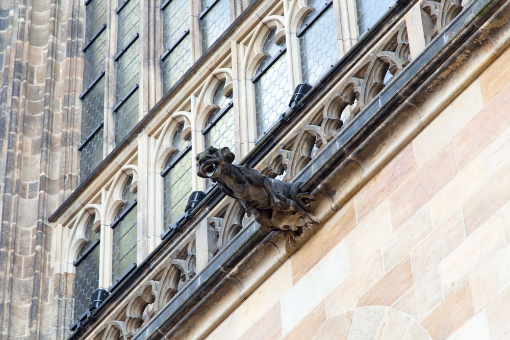 20170715 NF_Paddeln Ottawa-453.jpg