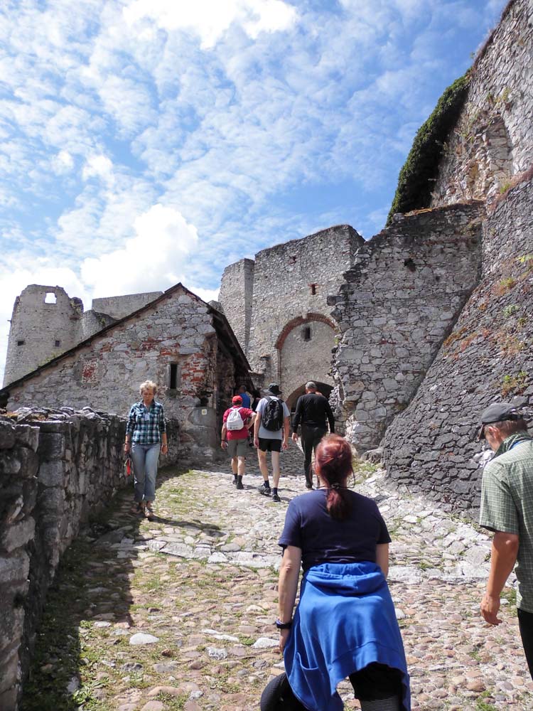 20170715 NF_Paddeln Otava_Sascha-17.jpg