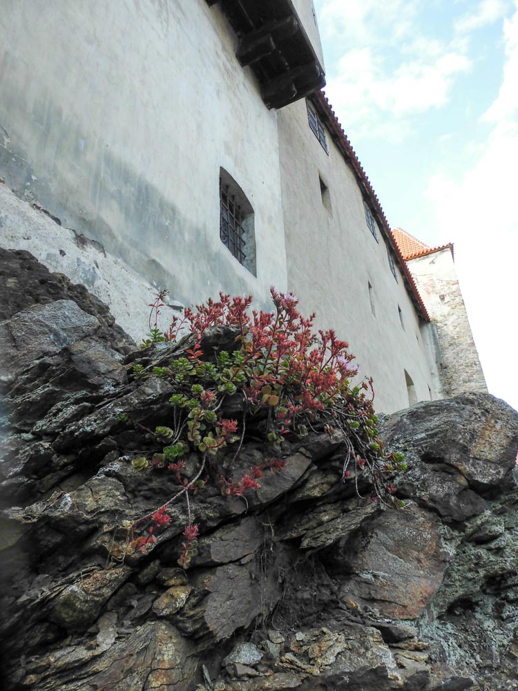 20170715 NF_Paddeln Otava_Sascha-42.jpg