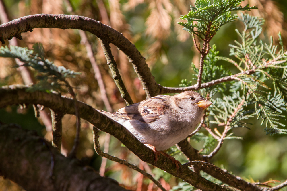 20170730 Fotogruppe_Zoo_Anke-16.jpg