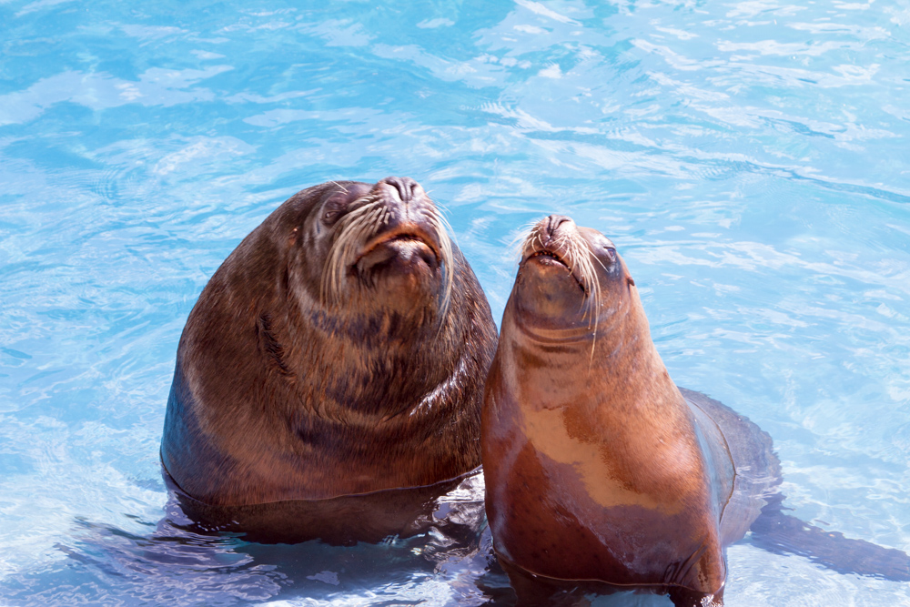 20170730 Fotogruppe_Zoo_Anke-119.jpg