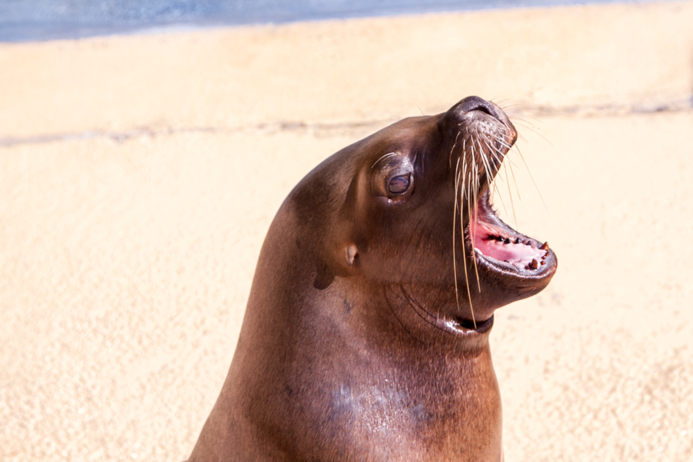 20170730 Fotogruppe_Zoo_Anke-130.jpg