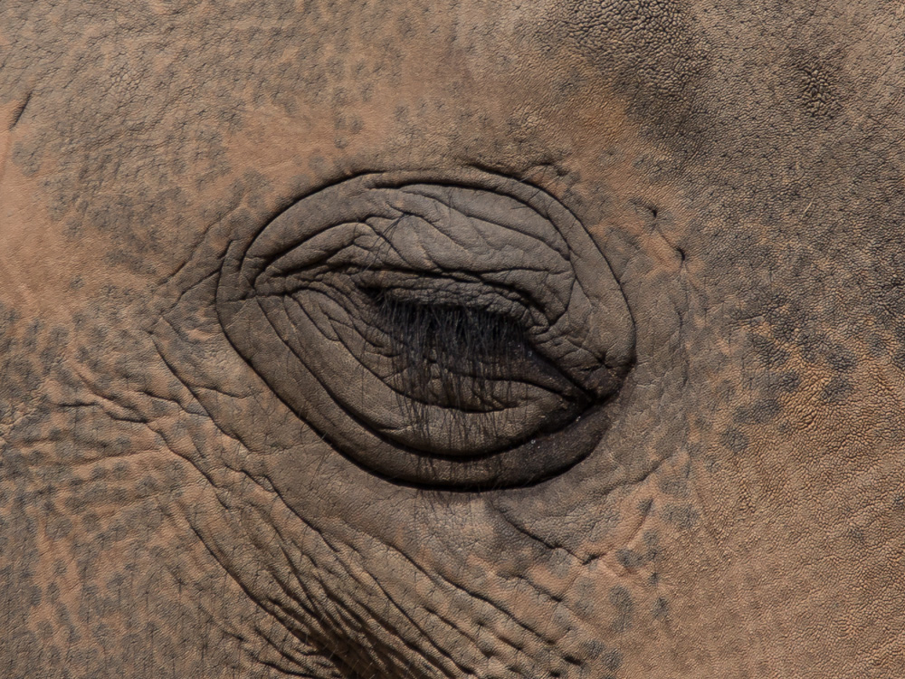 20170730 Fotogruppe_Zoo_Karl-82.jpg