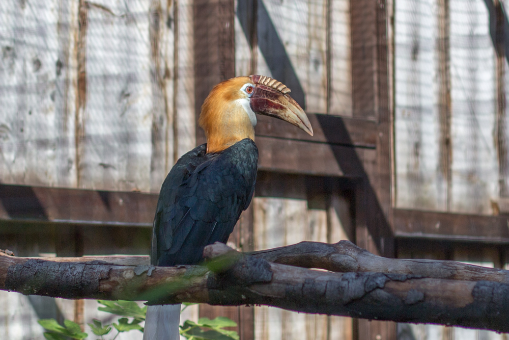 20170730 Fotogruppe_Zoo_Karl-89.jpg