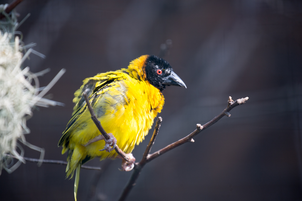 20170730 Fotogruppe_Zoo_Karl-95.jpg