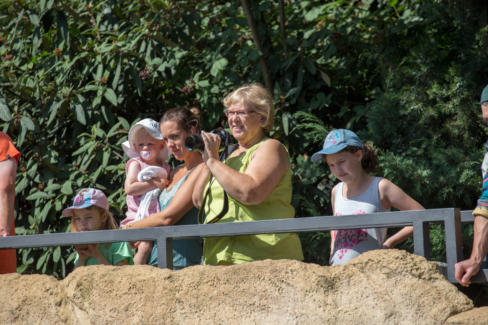 20170730 Fotogruppe_Zoo_Karl-322.jpg