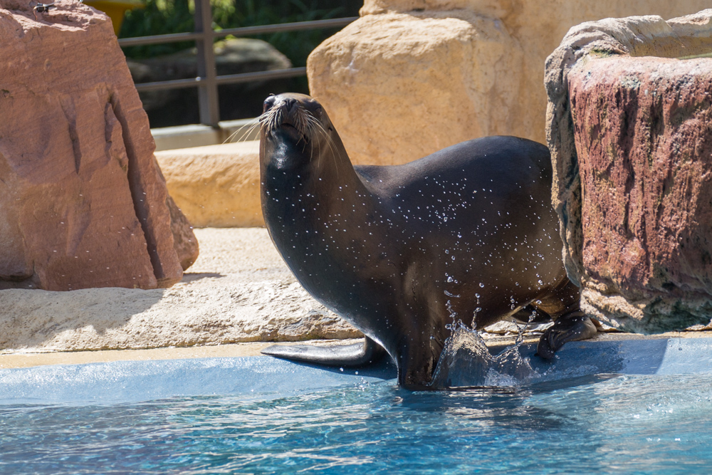 20170730 Fotogruppe_Zoo_Karl-333.jpg
