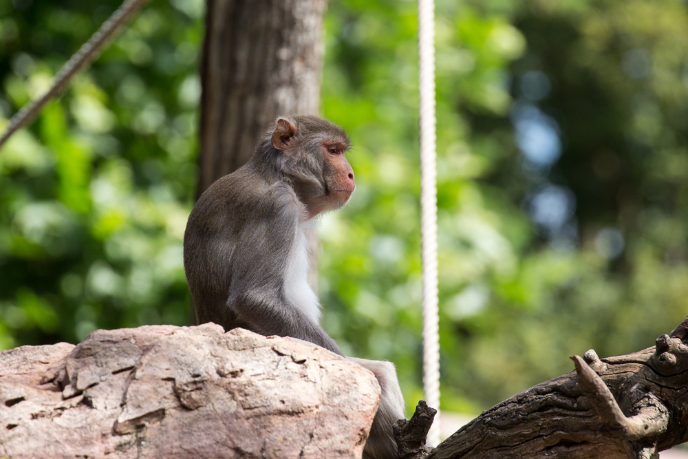 20170730 Fotogruppe_Zoo_Karl-394.jpg