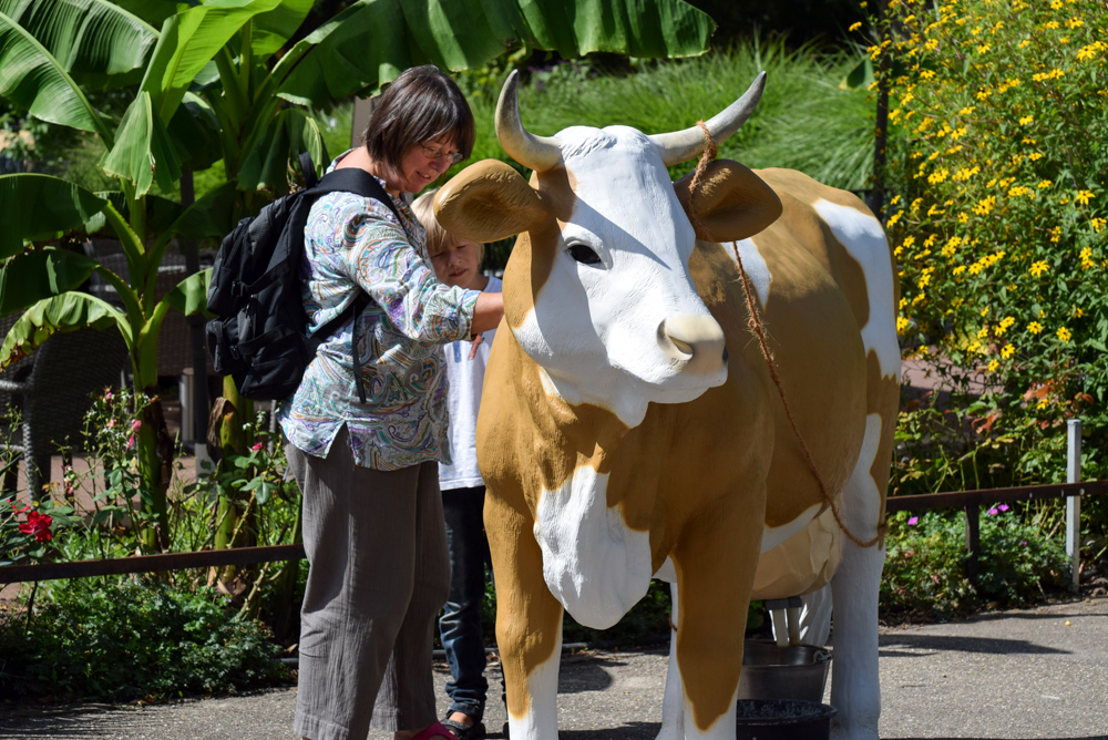 20170730 NF_Zoo_Bärbel-21.jpg