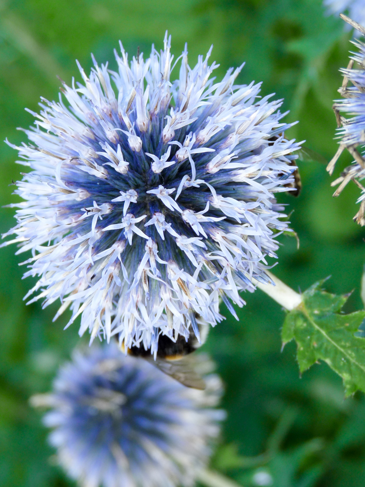 20170730 Fotogruppe_Zoo_Sabine-16.jpg