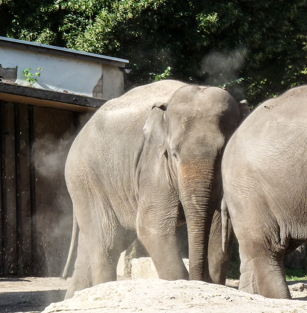 20170730 Fotogruppe_Zoo_Sabine-24.jpg