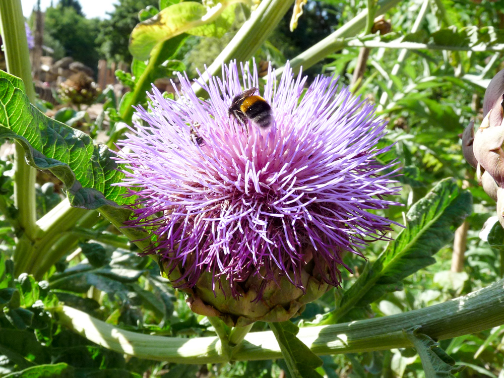20170730 Fotogruppe_Zoo_Sabine-31.jpg