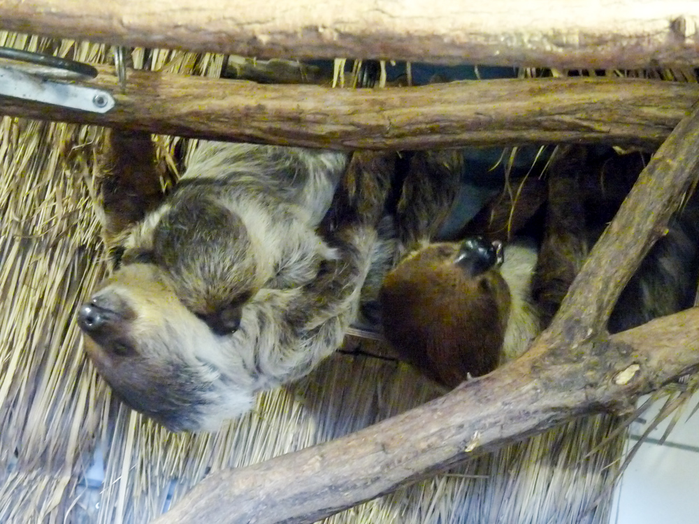 20170730 Fotogruppe_Zoo_Sabine-49.jpg