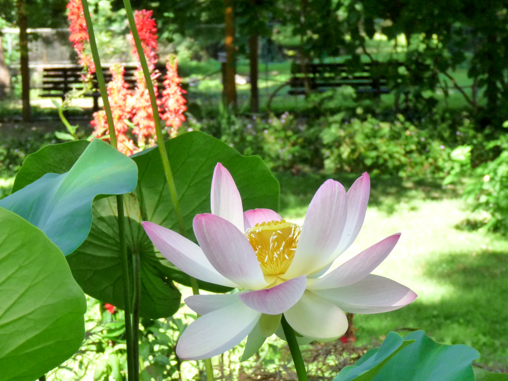 20170730 Fotogruppe_Zoo_Sabine-72.jpg